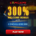 DomGame Casino image
