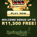 Springbok Casino image