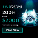 True Fortune Casino image